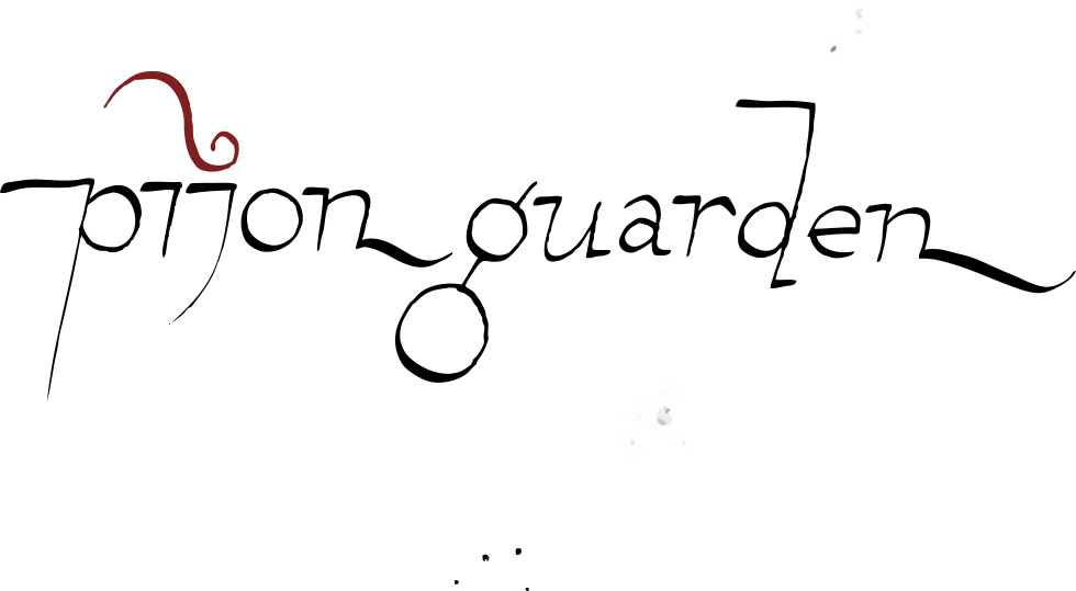 pijon guarden duet logo, that actually wasn't used as official one, but who cares anyway