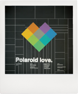 polaroid snapshot