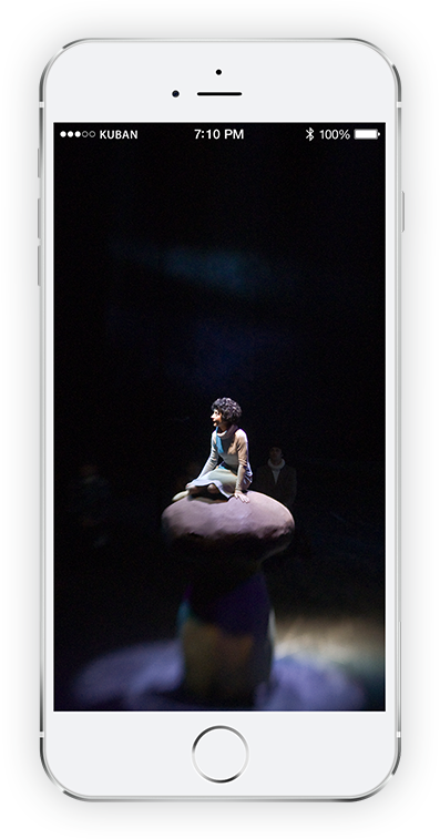 iphone with Allochka sitting on a mushroom photo by Anastasia Nelen
