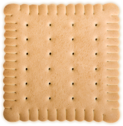 square shaped cookie